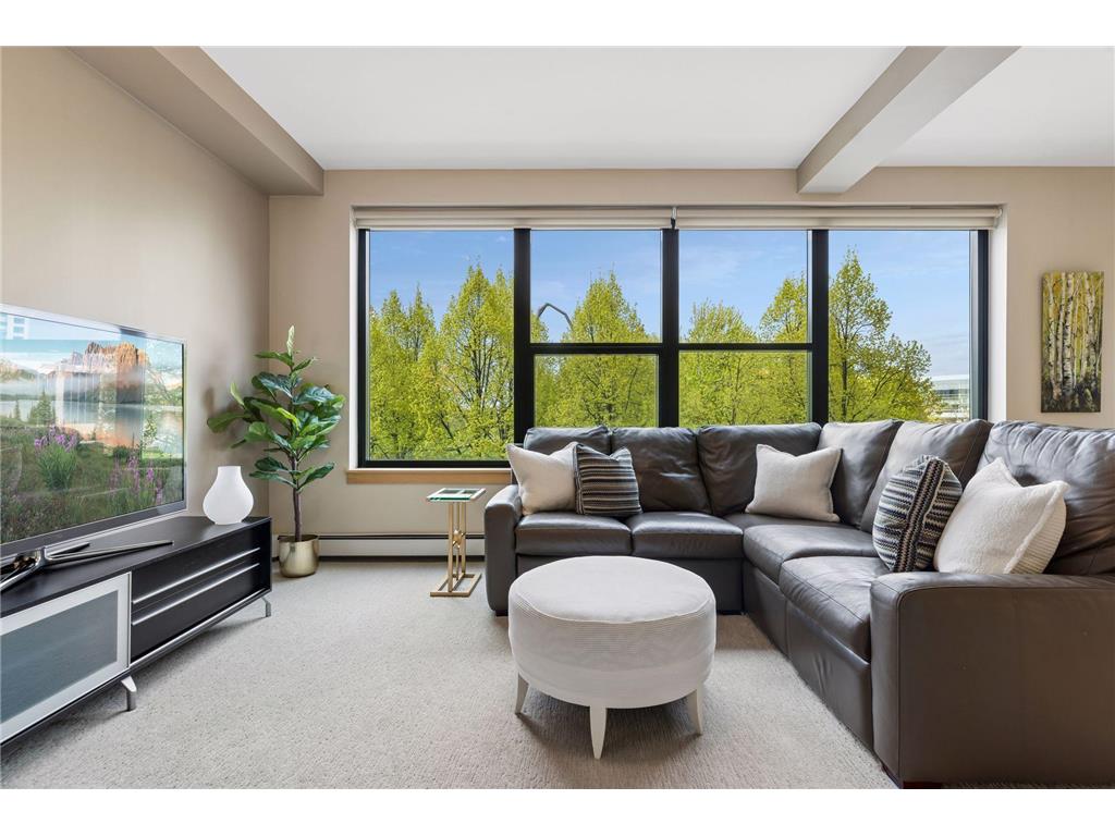 215 10th Avenue S #212 Minneapolis MN 55415 7008621 image10
