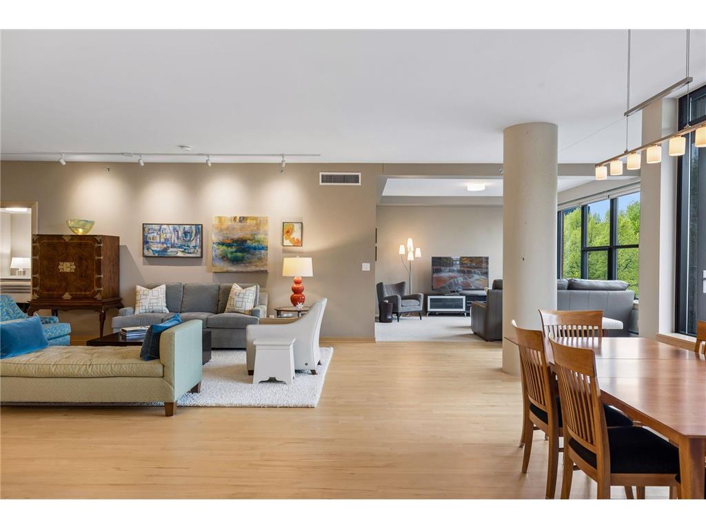 215 10th Avenue S #212 Minneapolis MN 55415 7008621 image14