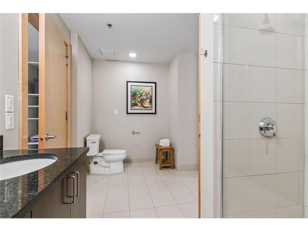 215 10th Avenue S #212 Minneapolis MN 55415 7008621 image37