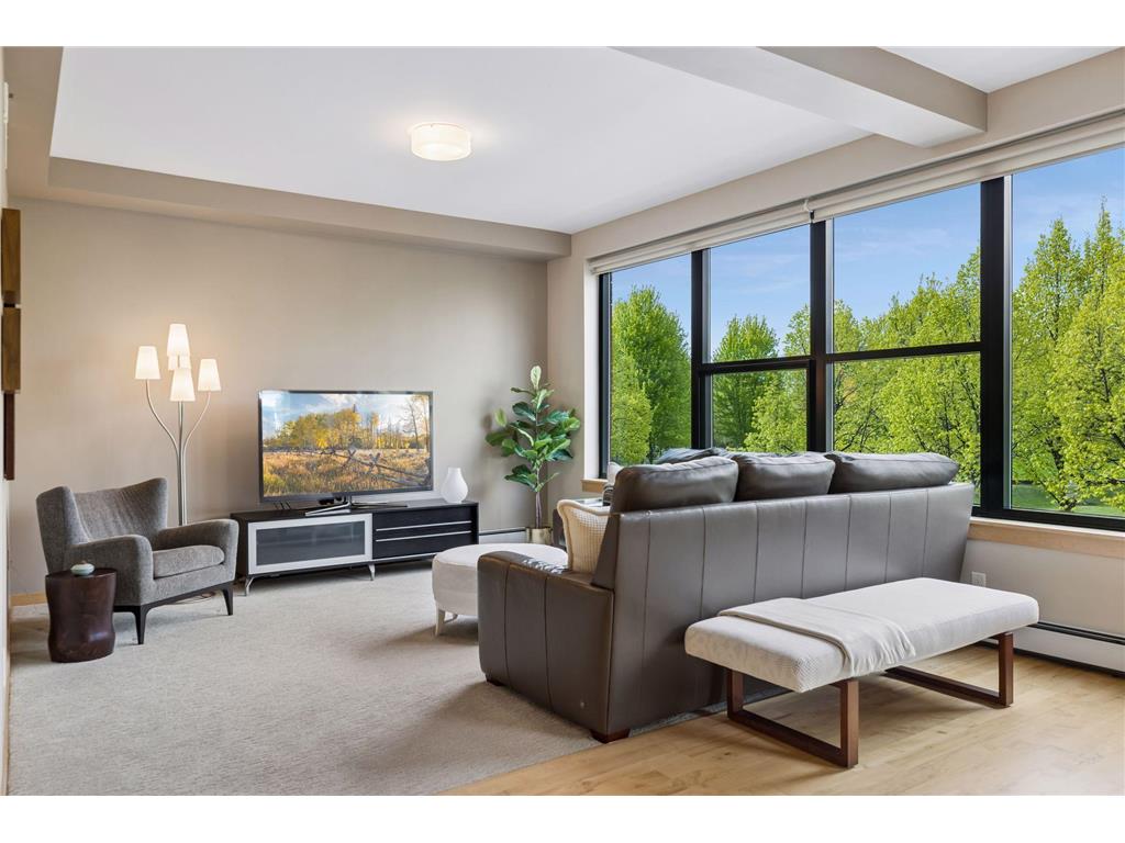 215 10th Avenue S #212 Minneapolis MN 55415 7008621 image9