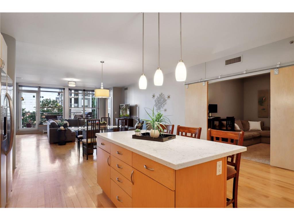 215 10th Avenue S #222 Minneapolis MN 55415 6569102 image1