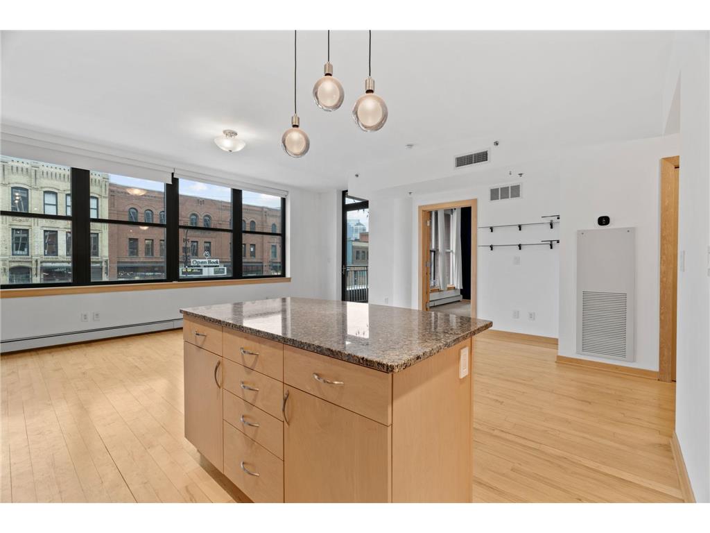 215 10th Avenue S #230 Minneapolis MN 55415 7037413 image13