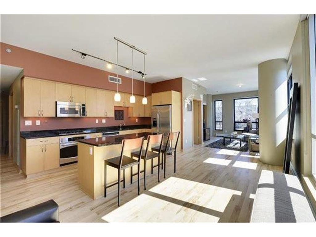 215 10th Avenue S #238 Minneapolis MN 55415 6783197 image4