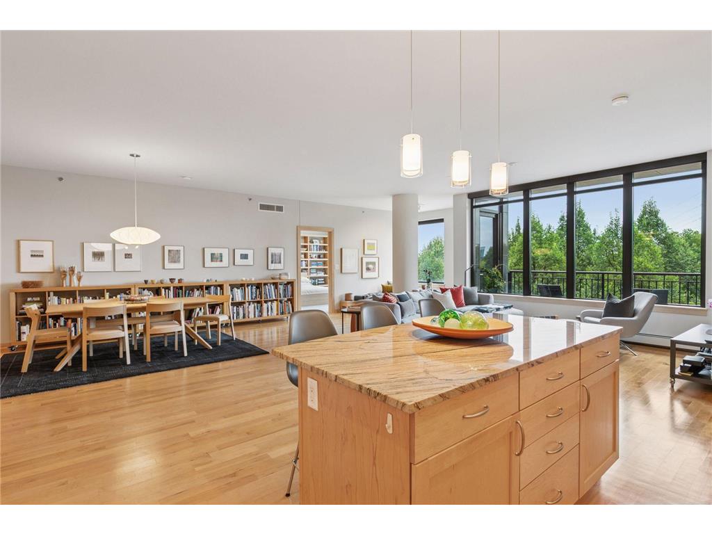 215 10th Avenue S #312 Minneapolis MN 55415 6787958 image14