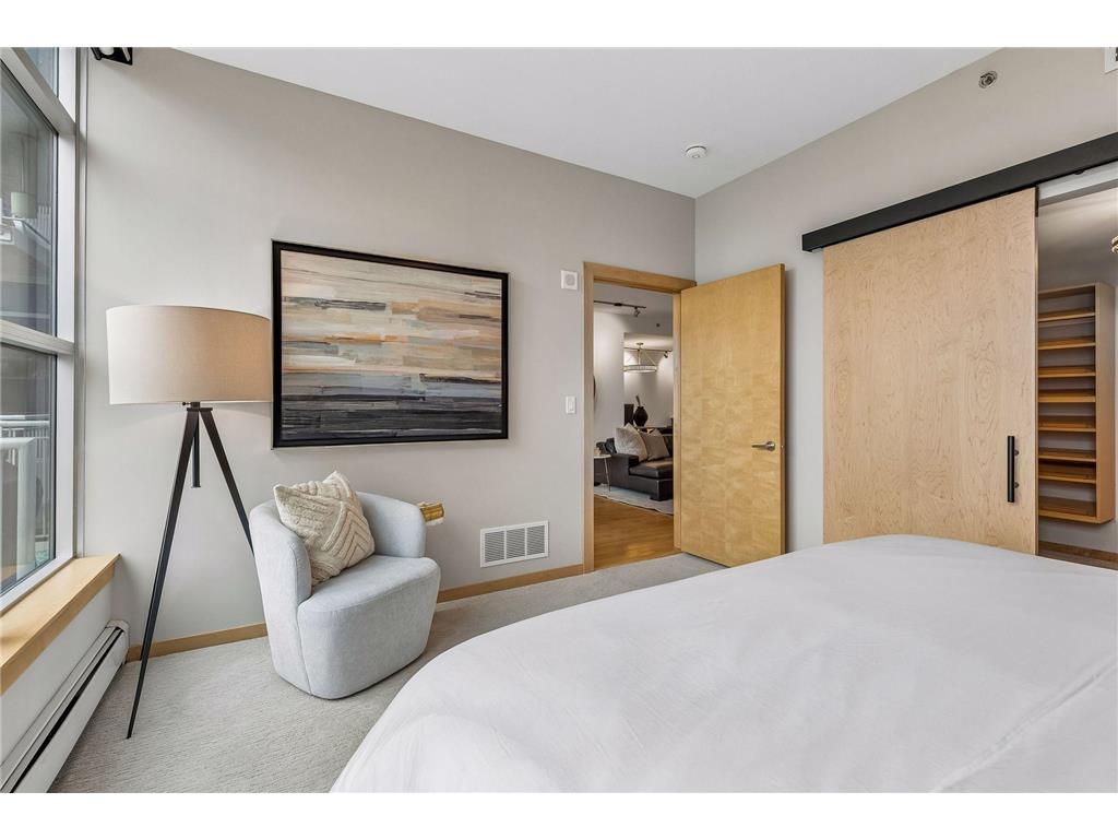 215 10th Avenue S #321 Minneapolis MN 55415 7089181 image19