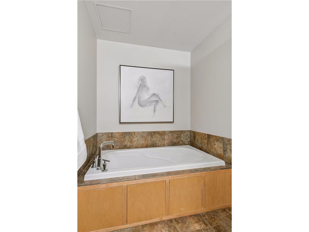 215 10th Avenue S #321 Minneapolis MN 55415 7089181 image23