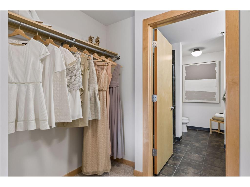 215 10th Avenue S #332 Minneapolis MN 55415 7032092 image23