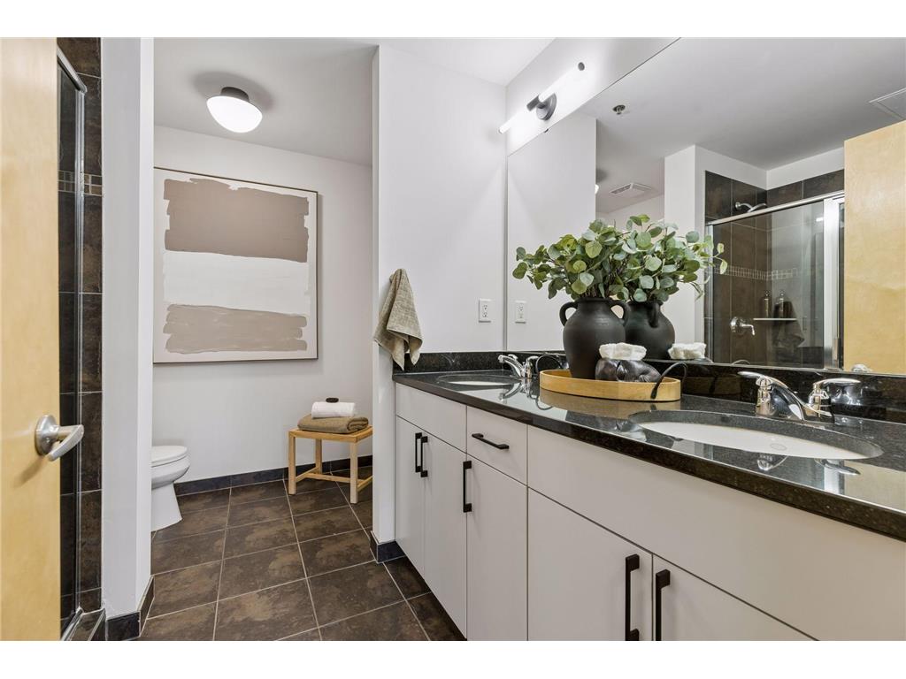 215 10th Avenue S #332 Minneapolis MN 55415 7032092 image26