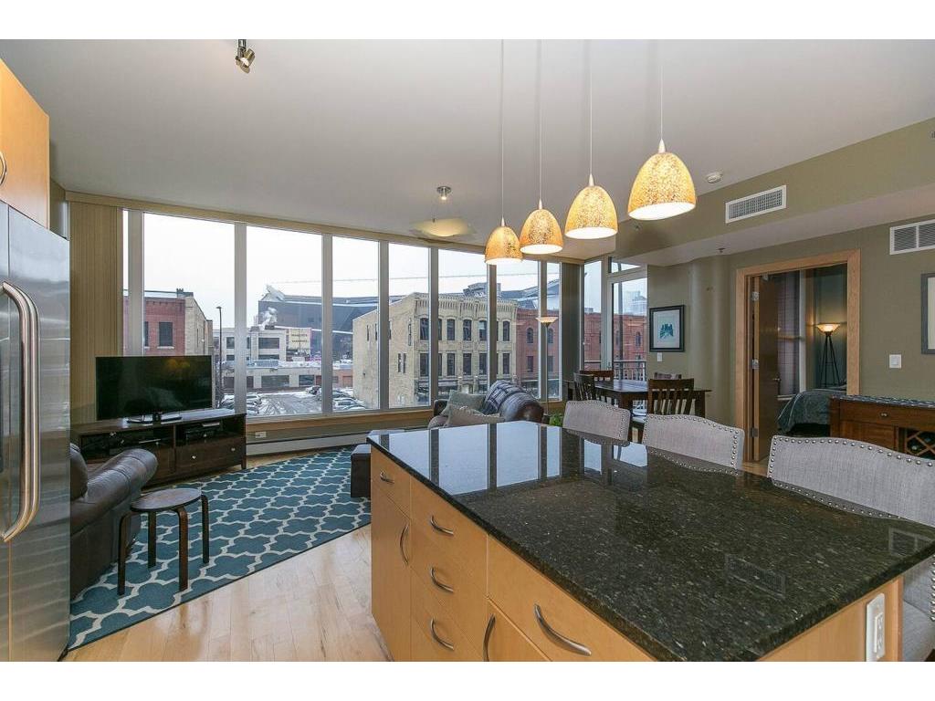 215 10th Avenue S #334 Minneapolis MN 55415 6373907 image1