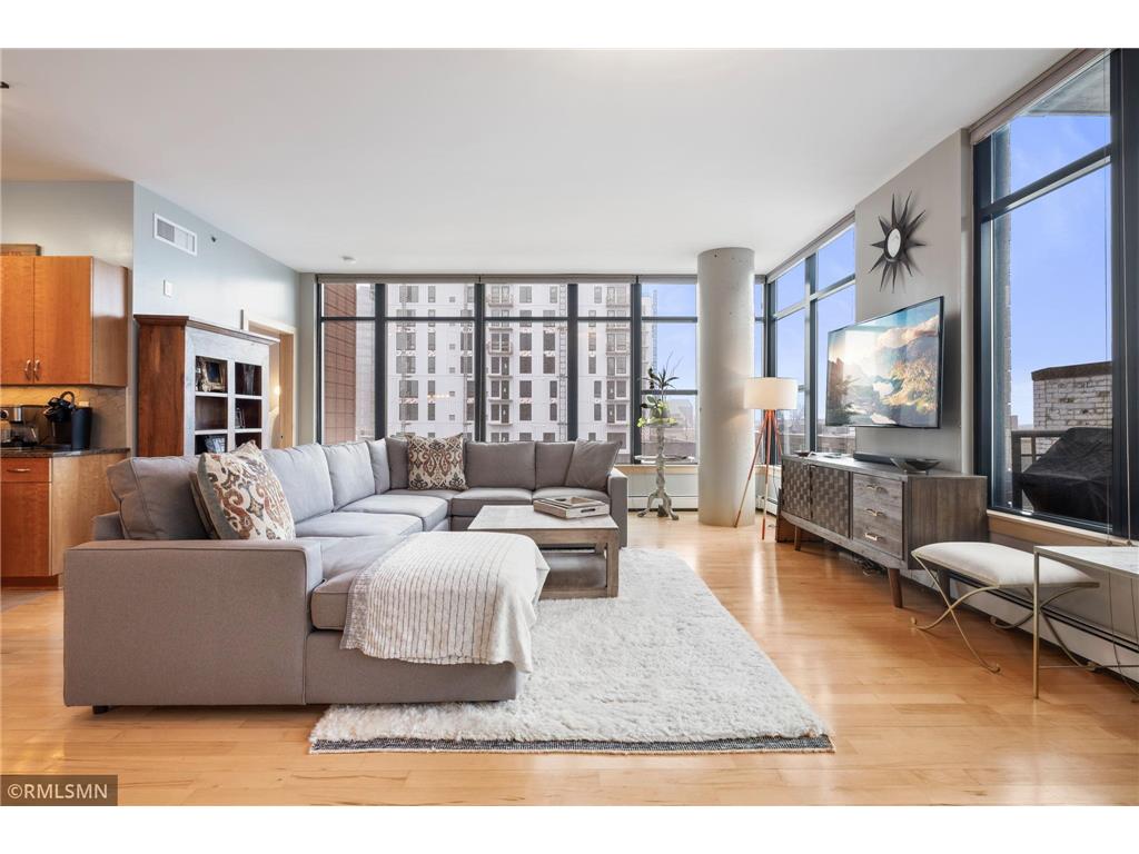 215 10th Avenue S #401 Minneapolis MN 55415 6513794 image1