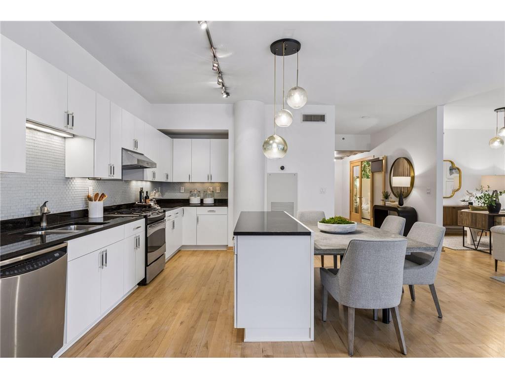 215 10th Avenue S #411 Minneapolis MN 55415 7052220 image20