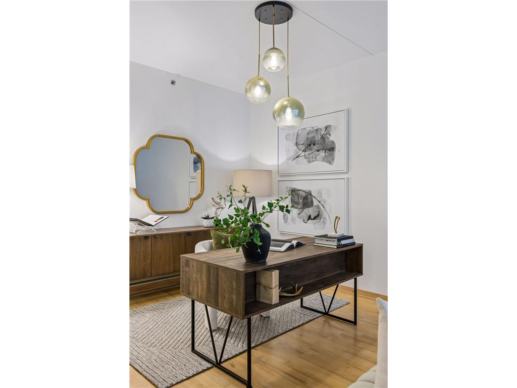 215 10th Avenue S #411 Minneapolis MN 55415 7052220 image24