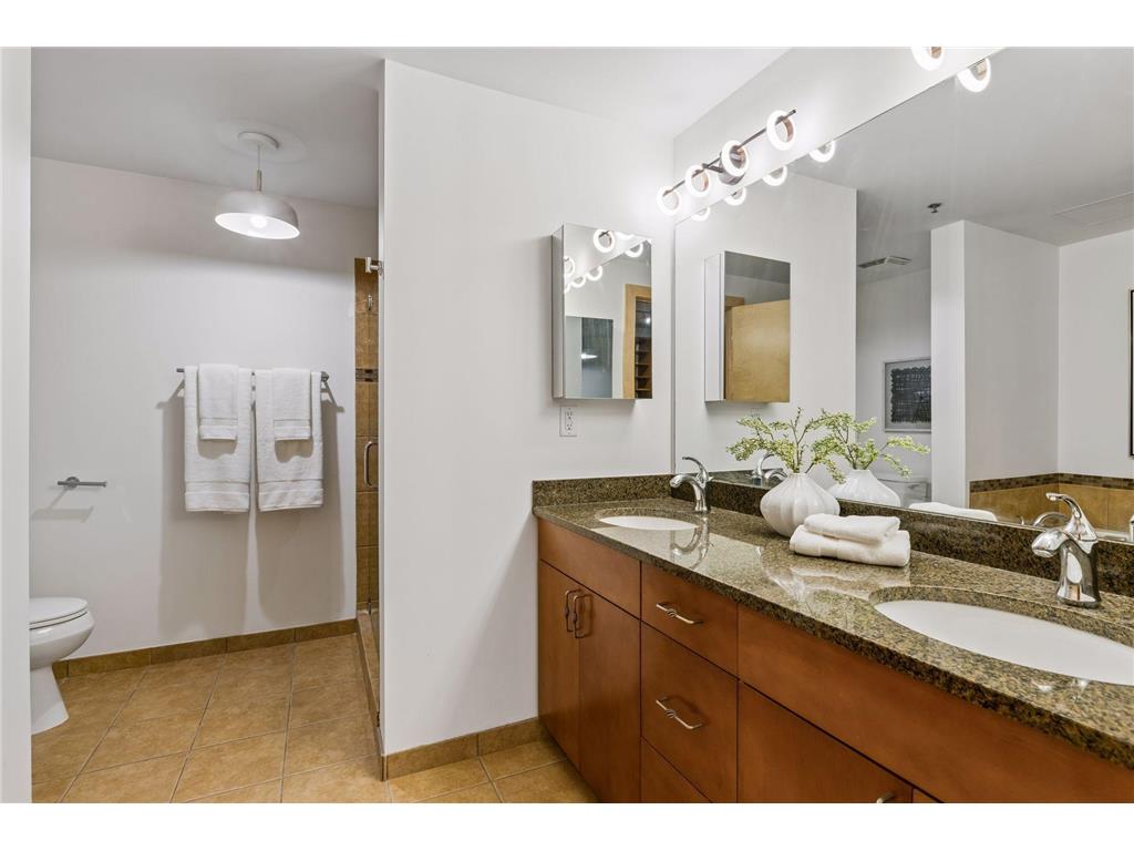 215 10th Avenue S #411 Minneapolis MN 55415 7052220 image32