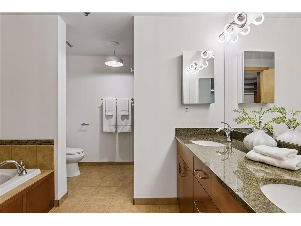 215 10th Avenue S #411 Minneapolis MN 55415 7052220 image33