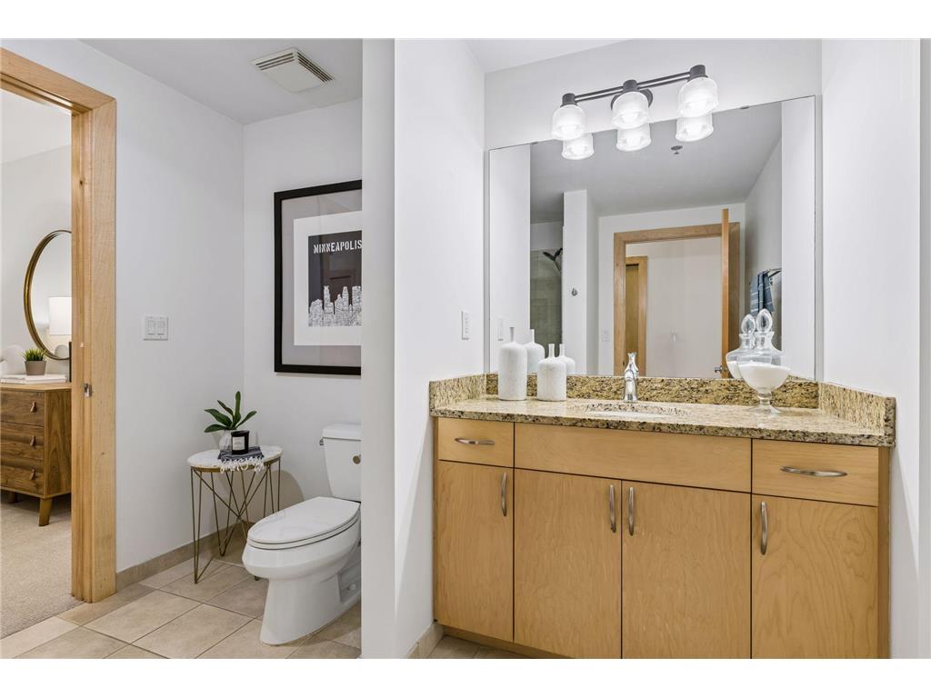 215 10th Avenue S #411 Minneapolis MN 55415 7052220 image39