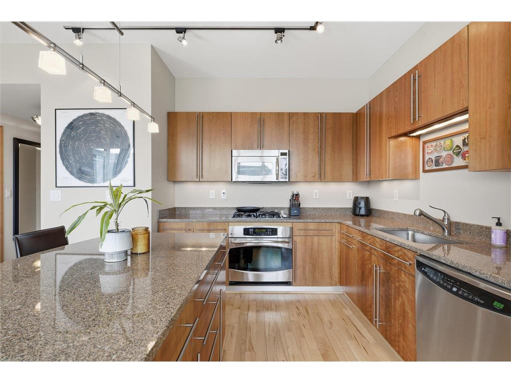 215 10th Avenue S #528 Minneapolis MN 55415 7062970 image15