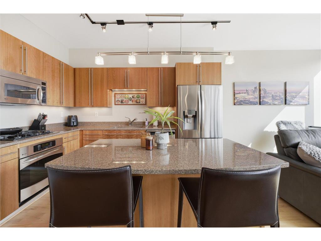 215 10th Avenue S #528 Minneapolis MN 55415 7062970 image18