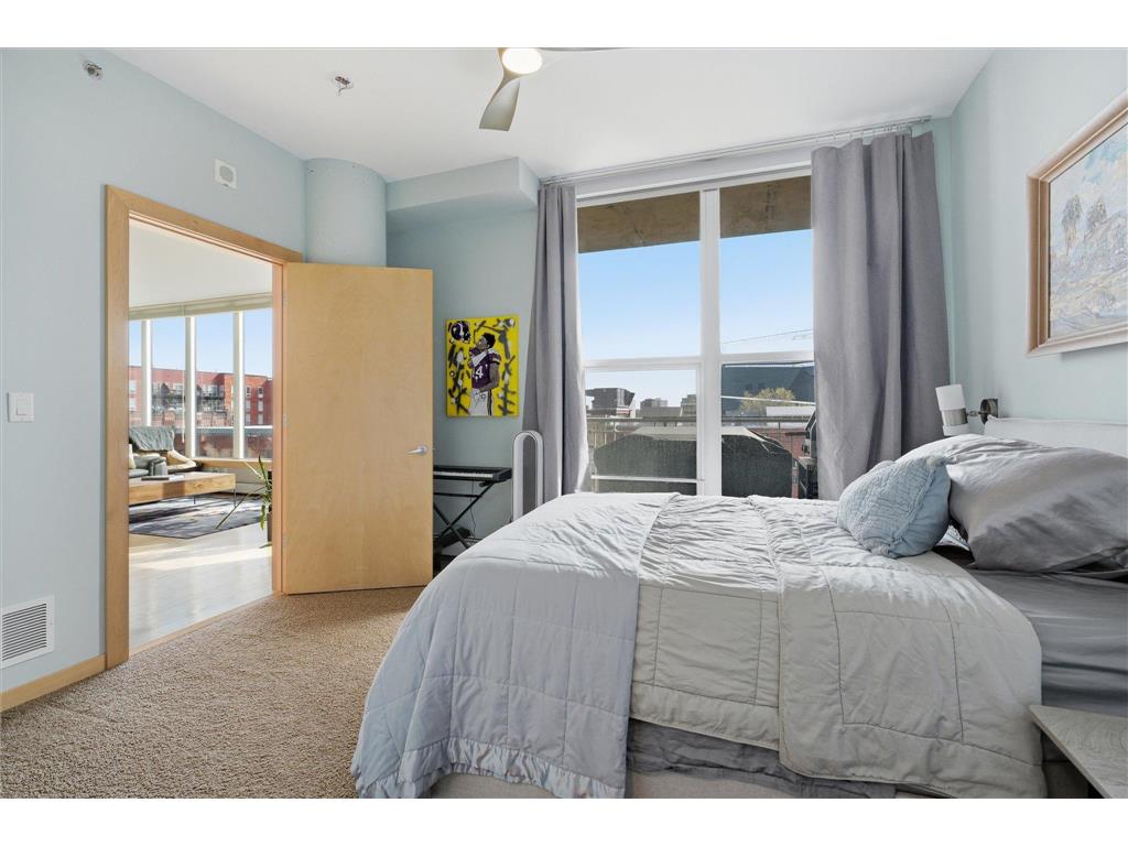 215 10th Avenue S #528 Minneapolis MN 55415 7062970 image26