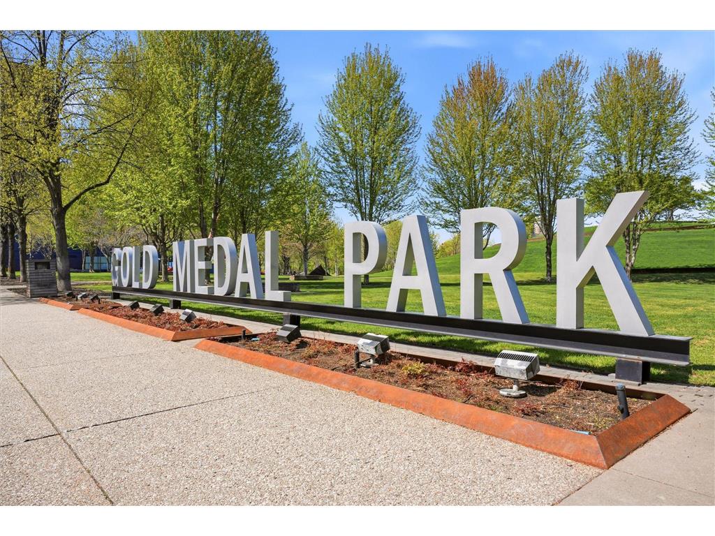 215 10th Avenue S #528 Minneapolis MN 55415 7062970 image60
