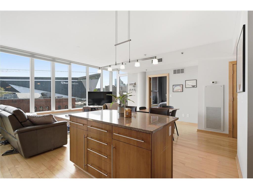 215 10th Avenue S #528 Minneapolis MN 55415 7062970 image8