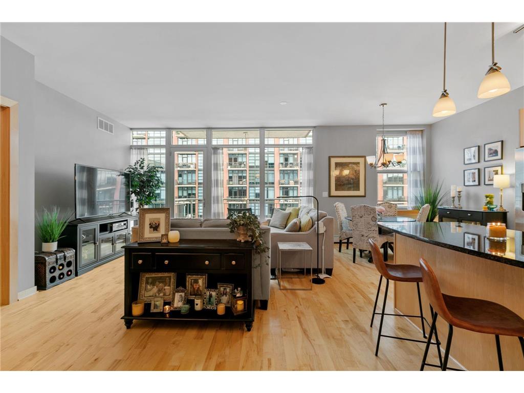 215 10th Avenue S #531 Minneapolis MN 55415 6329510 image1