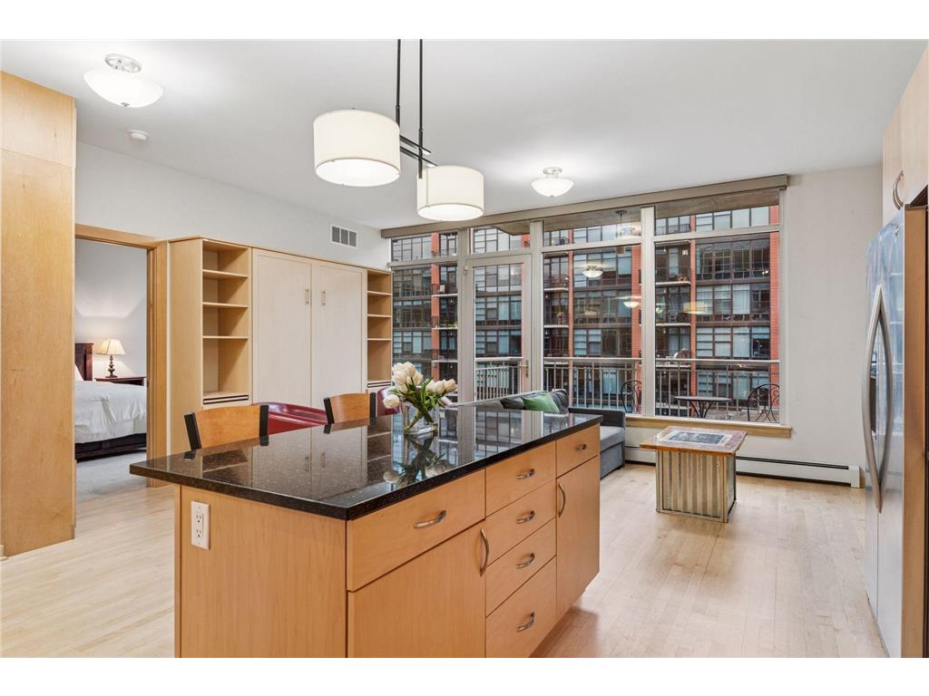 215 10th Avenue S #533 Minneapolis MN 55415 7012255 image11