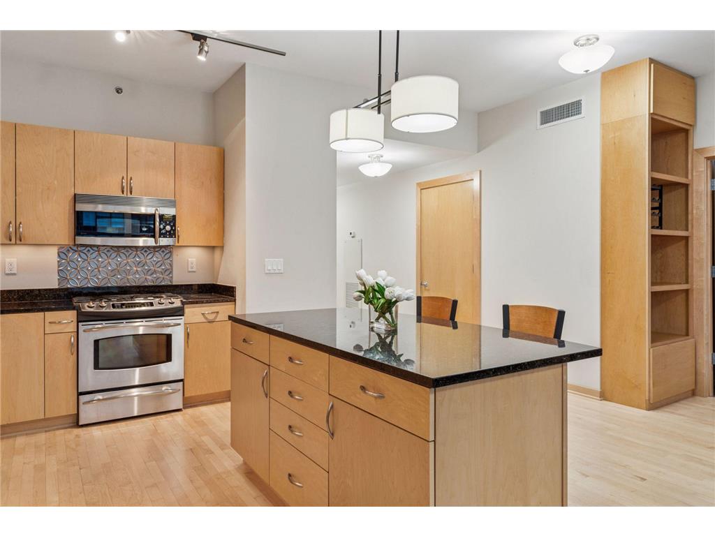 215 10th Avenue S #533 Minneapolis MN 55415 7012255 image12