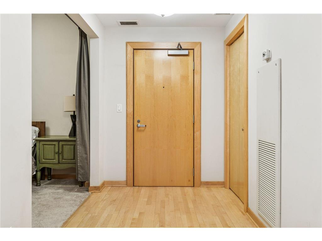 215 10th Avenue S #533 Minneapolis MN 55415 7012255 image4