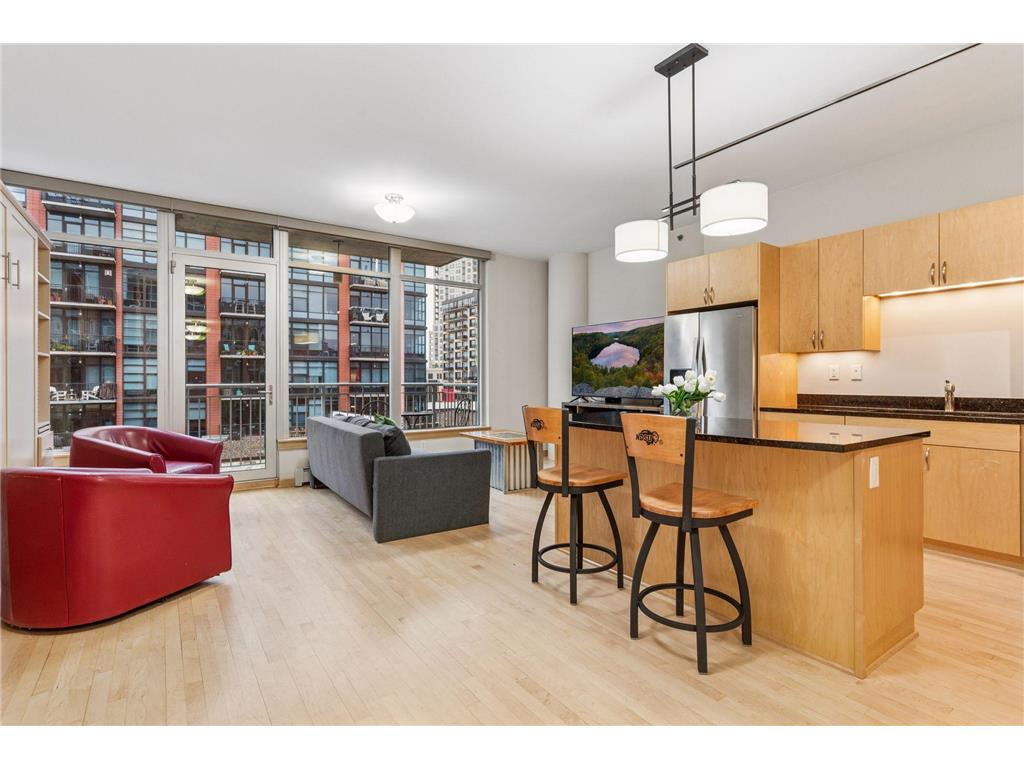 215 10th Avenue S #533 Minneapolis MN 55415 7012255 image6