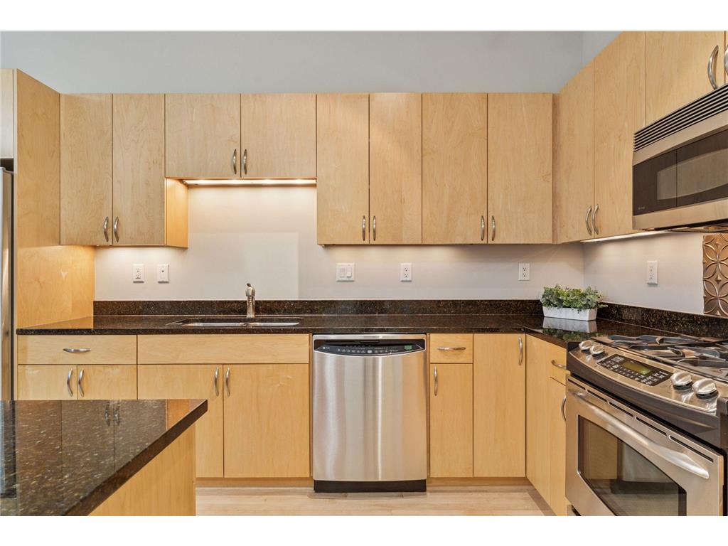 215 10th Avenue S #533 Minneapolis MN 55415 7012255 image8