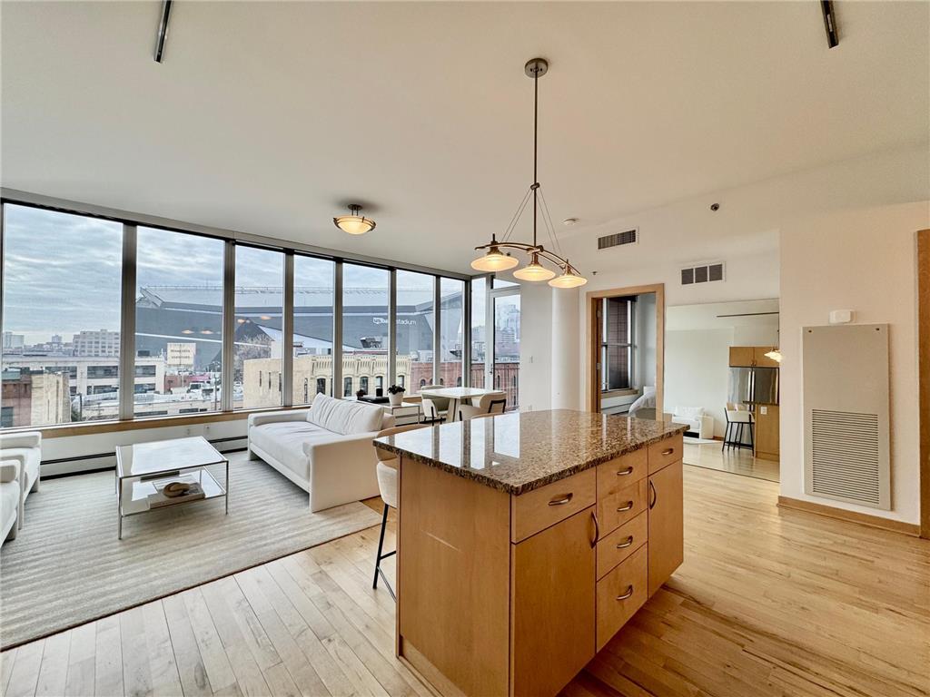 215 10th Avenue S #534 Minneapolis MN 55415 7020159 image1