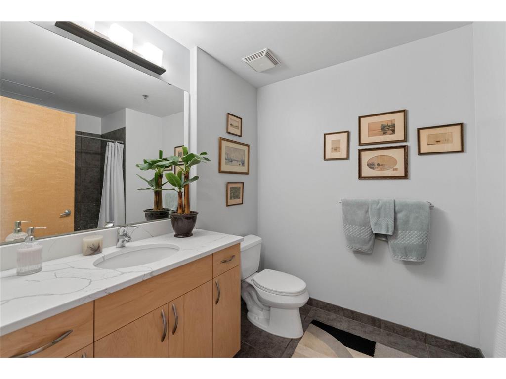 215 10th Avenue S #632 Minneapolis MN 55415 7106269 image22