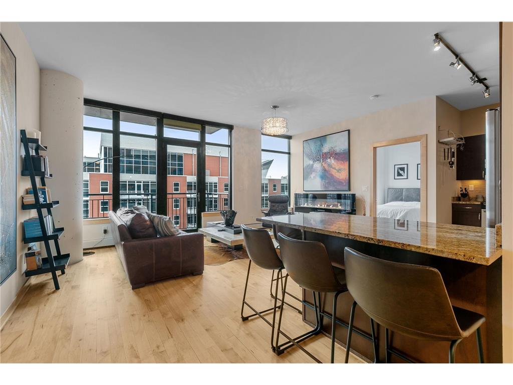 215 10th Avenue S #703 Minneapolis MN 55415 6472963 image1