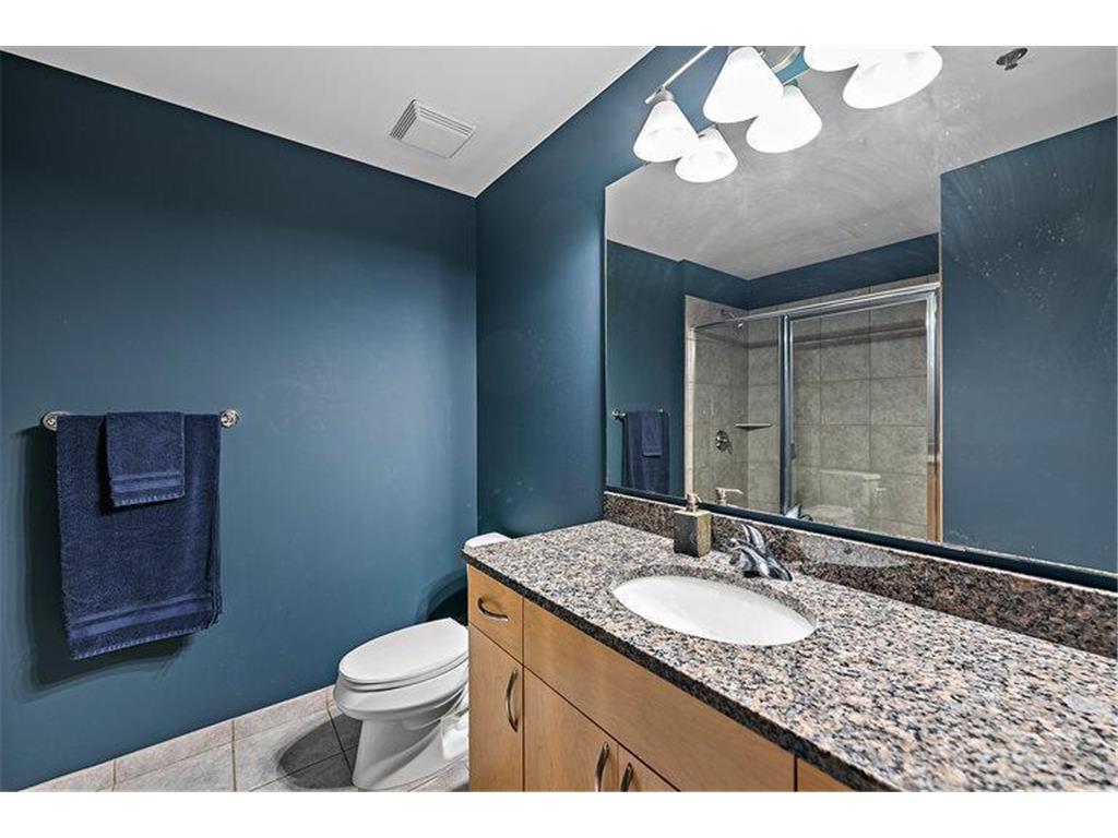 215 10th Avenue S #703 Minneapolis MN 55415 6714370 image17