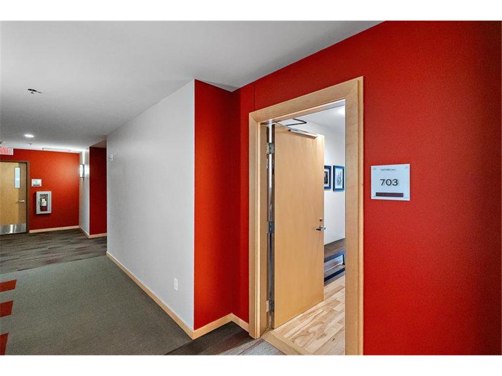 215 10th Avenue S #703 Minneapolis MN 55415 6714370 image22