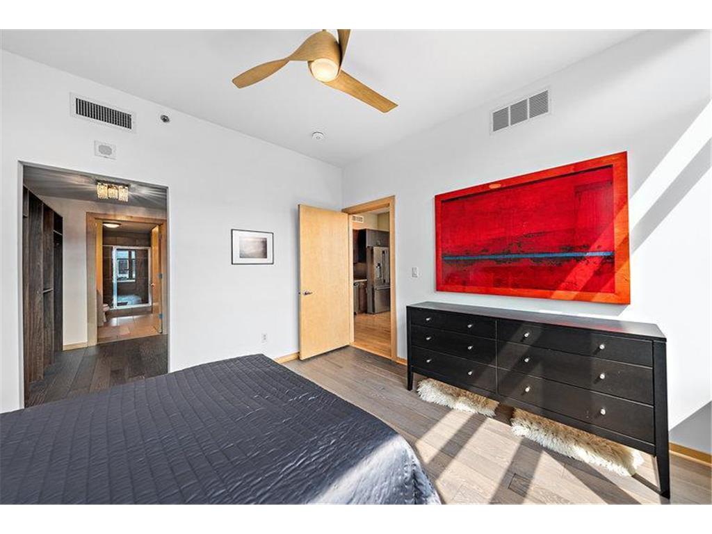 215 10th Avenue S #703 Minneapolis MN 55415 6714370 image8