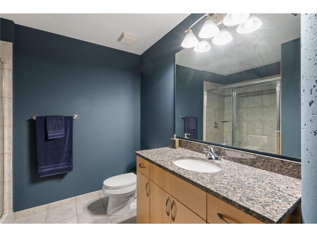 215 10th Avenue S #703 Minneapolis MN 55415 7031766 image20