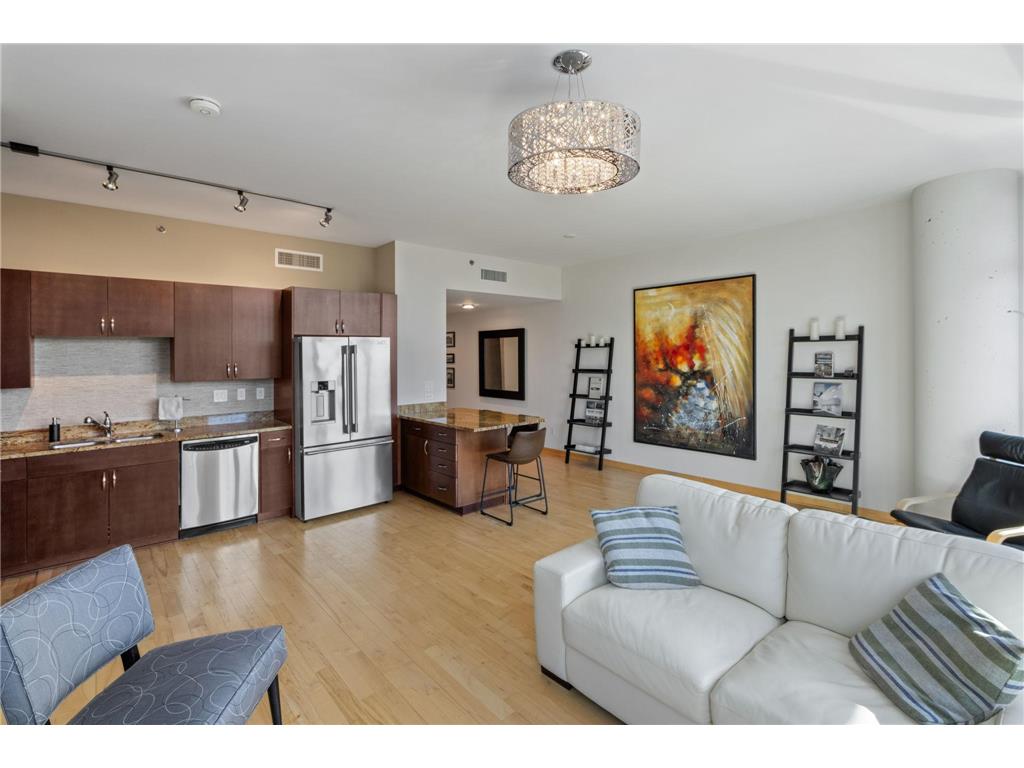 215 10th Avenue S #703 Minneapolis MN 55415 7031766 image6