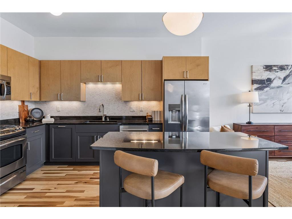 215 10th Avenue S #707 Minneapolis MN 55415 7041896 image1