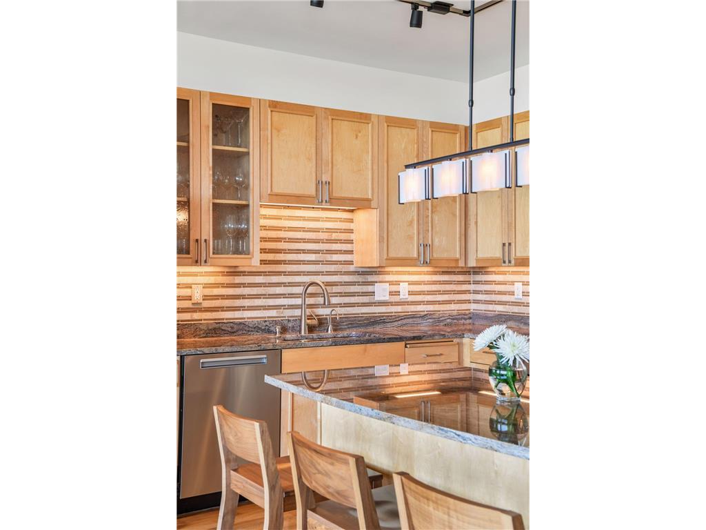 215 10th Avenue S #708 Minneapolis MN 55415 7050013 image20