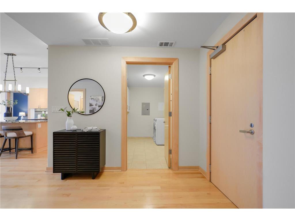 215 10th Avenue S #727 Minneapolis MN 55415 7044236 image25