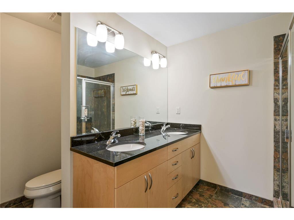 215 10th Avenue S #735 Minneapolis MN 55415 7073695 image15