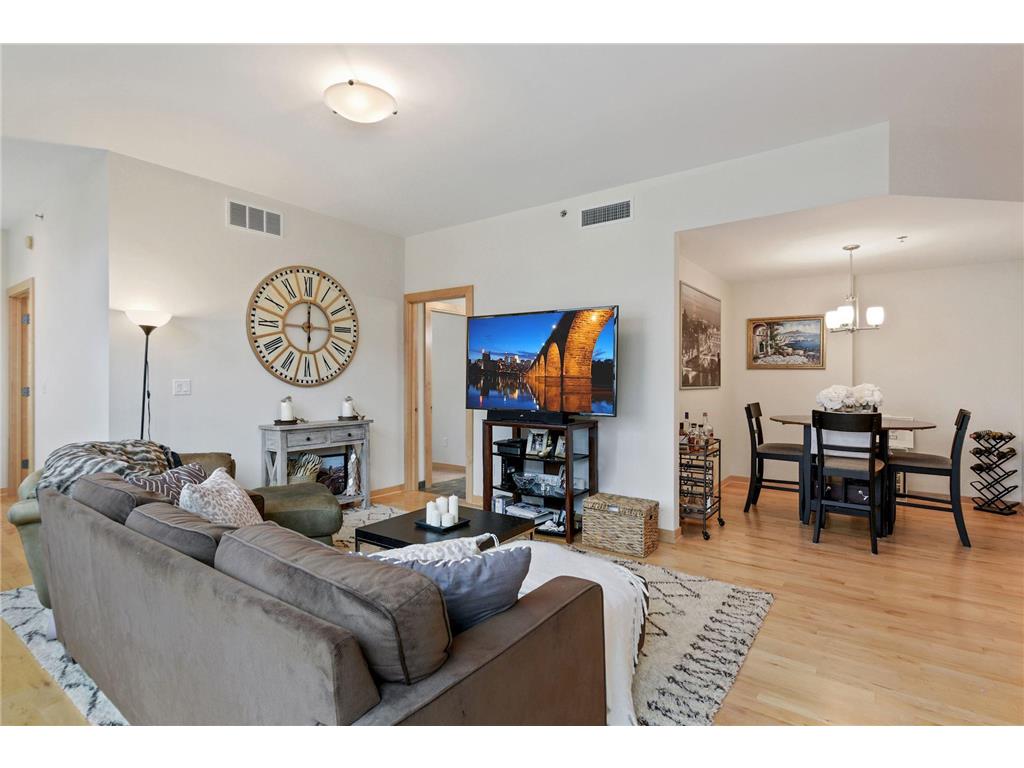 215 10th Avenue S #735 Minneapolis MN 55415 7073695 image2