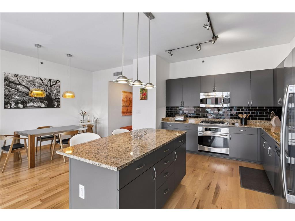 215 10th Avenue S #805 Minneapolis MN 55415 7063922 image15
