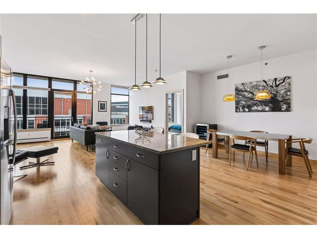 215 10th Avenue S #805 Minneapolis MN 55415 7063922 image16