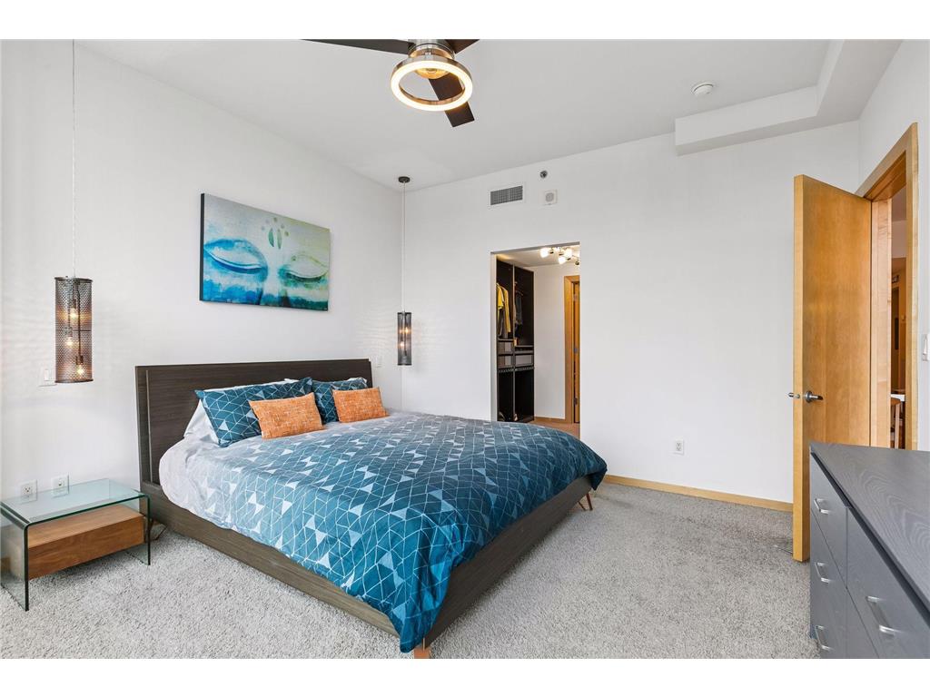 215 10th Avenue S #805 Minneapolis MN 55415 7063922 image22