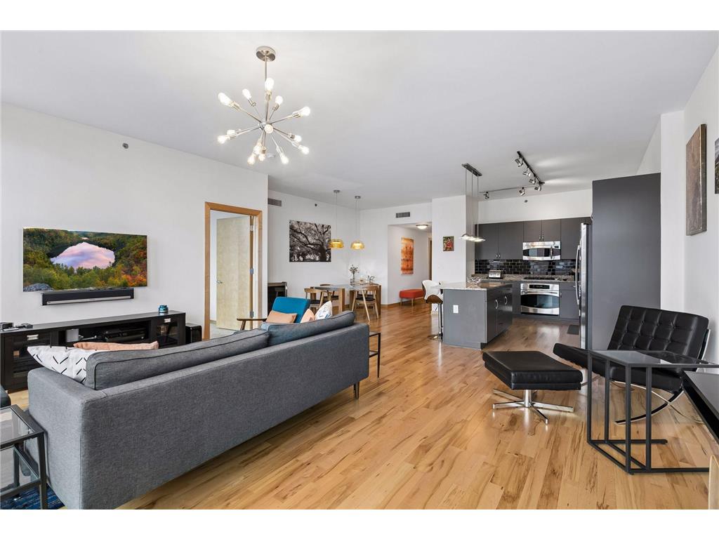 215 10th Avenue S #805 Minneapolis MN 55415 7063922 image3