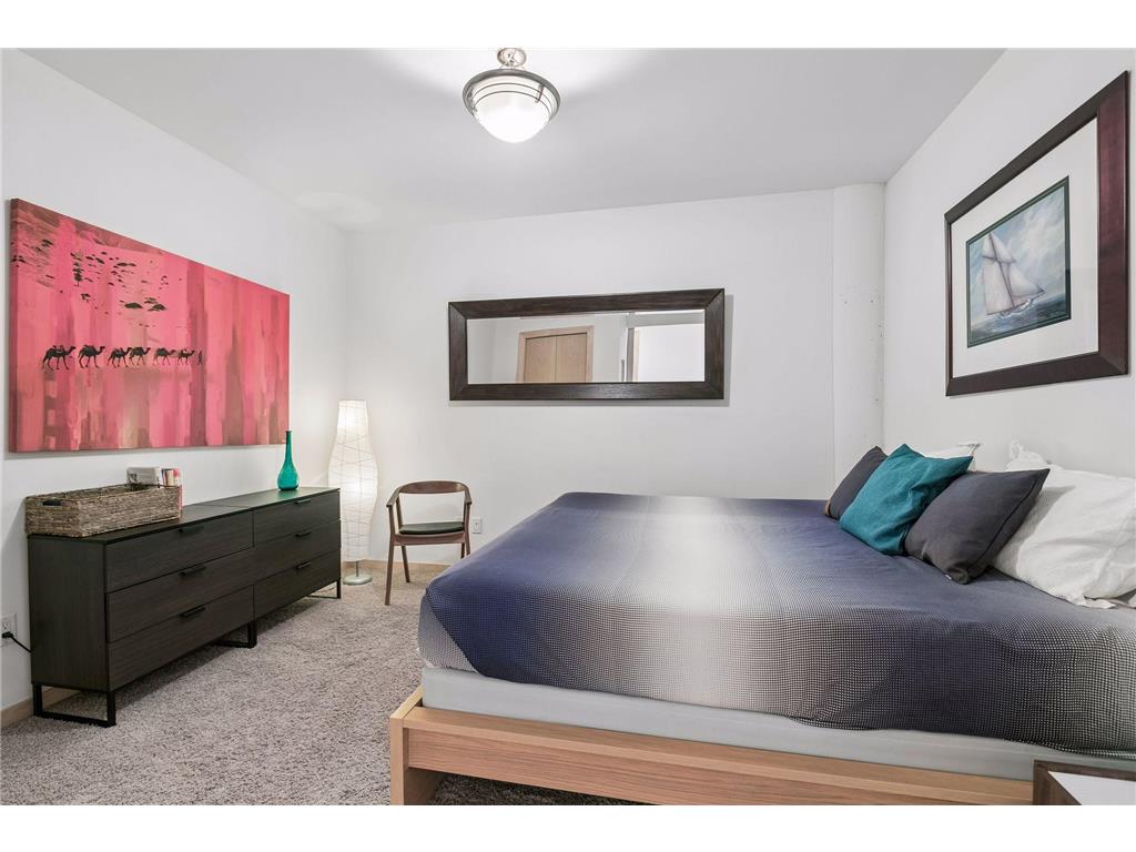 215 10th Avenue S #805 Minneapolis MN 55415 7063922 image31