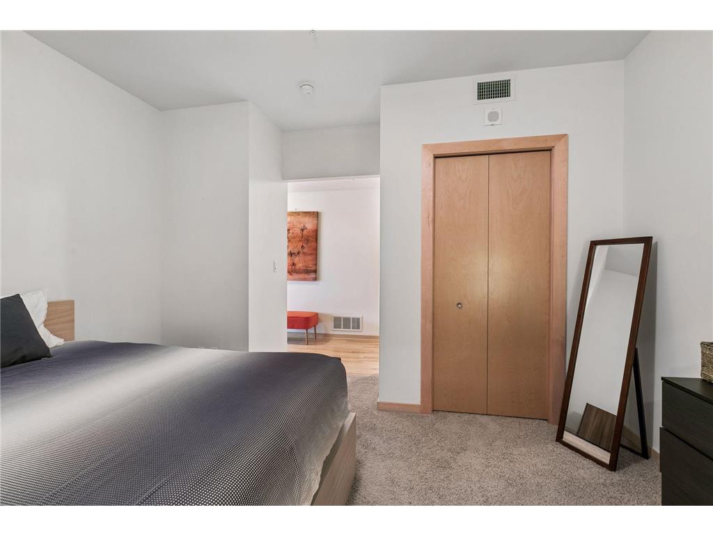 215 10th Avenue S #805 Minneapolis MN 55415 7063922 image32