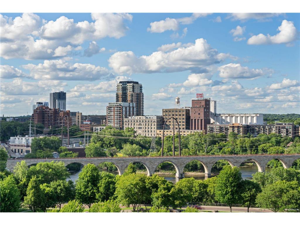 215 10th Avenue S #910 Minneapolis MN 55415 7049610 image18